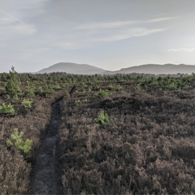 Untold tales of land and people - Sun 12 Oct 2025