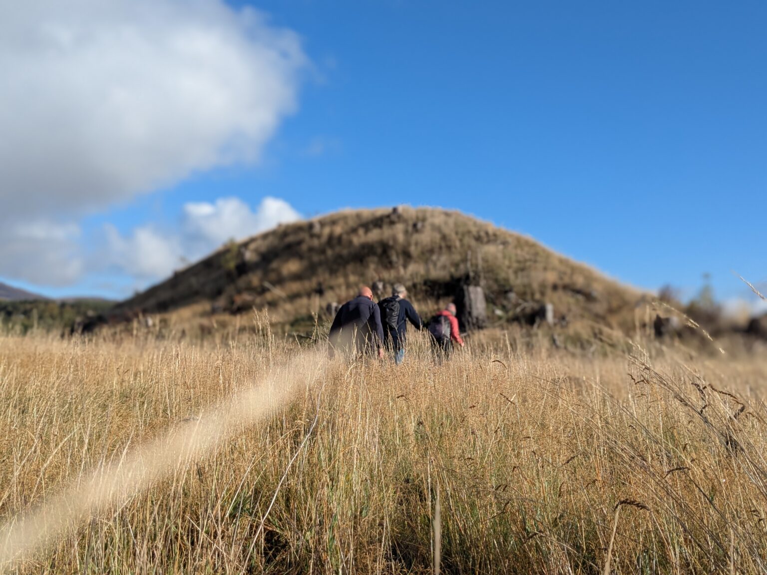 PXL_20250928_100129254.PORTRAIT